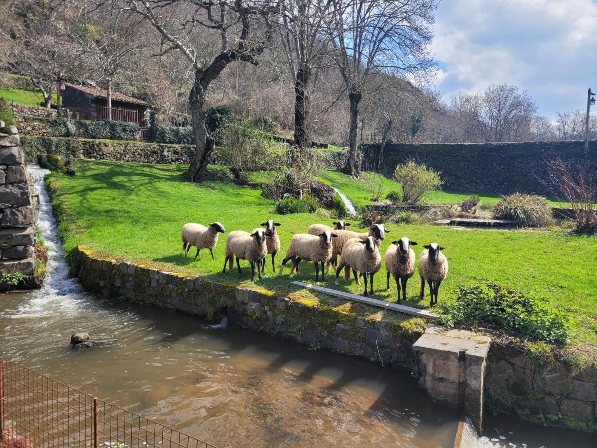 Saint-Arcons-d'Allier ル ムーラン Bed & Breakfast エクステリア 写真
